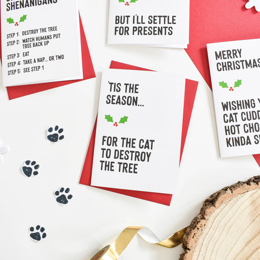 Cat Christmas card pack from Purple Tree Designs