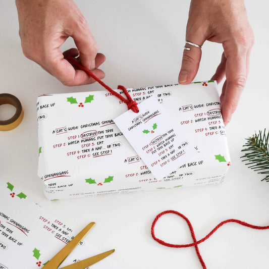 Cat shenanigans Christmas wrapping paper from Purple Tree Designs