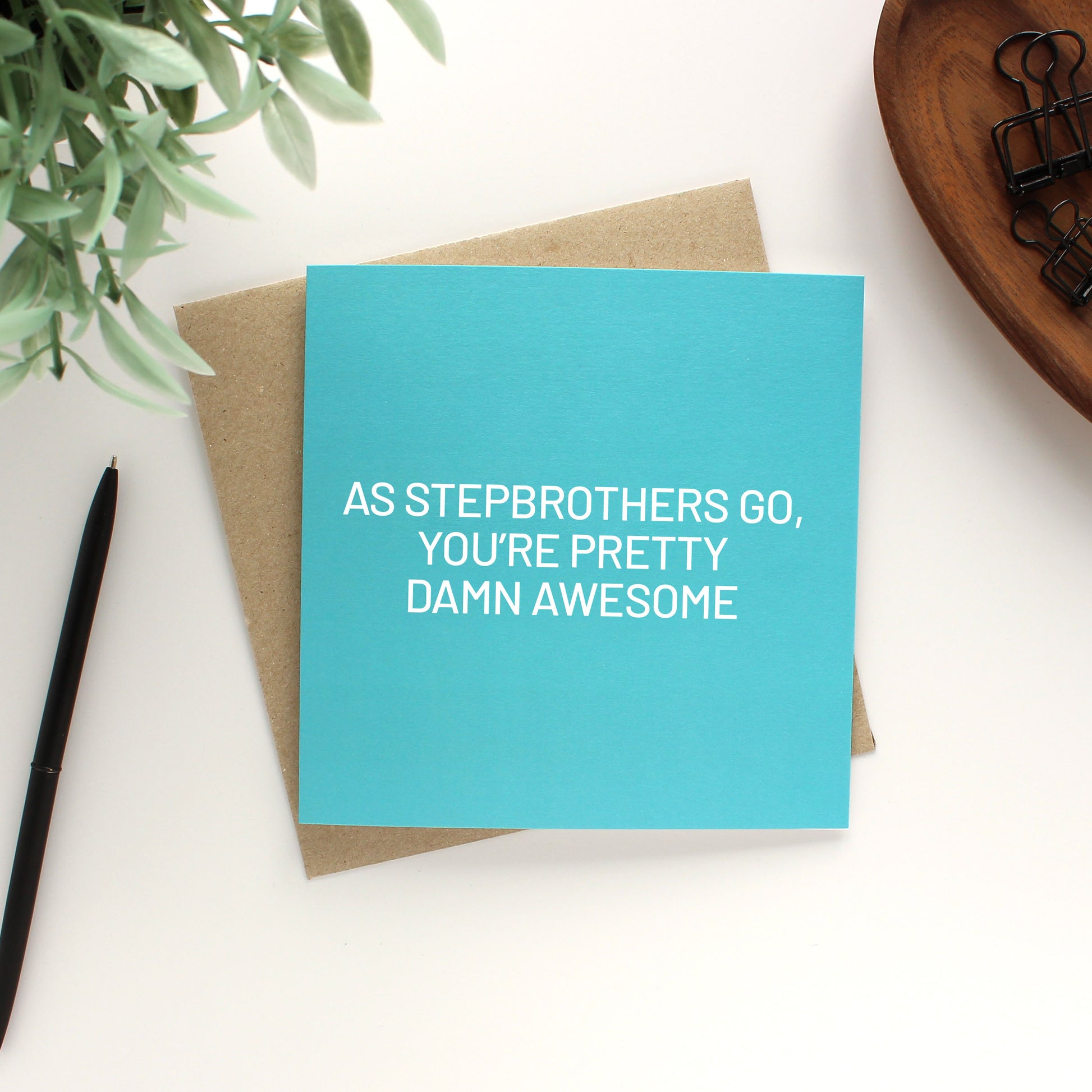 As stepbrothers go you're pretty damn awesome greeting card