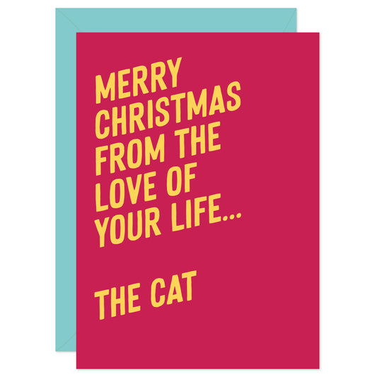 From the cat Christmas card
