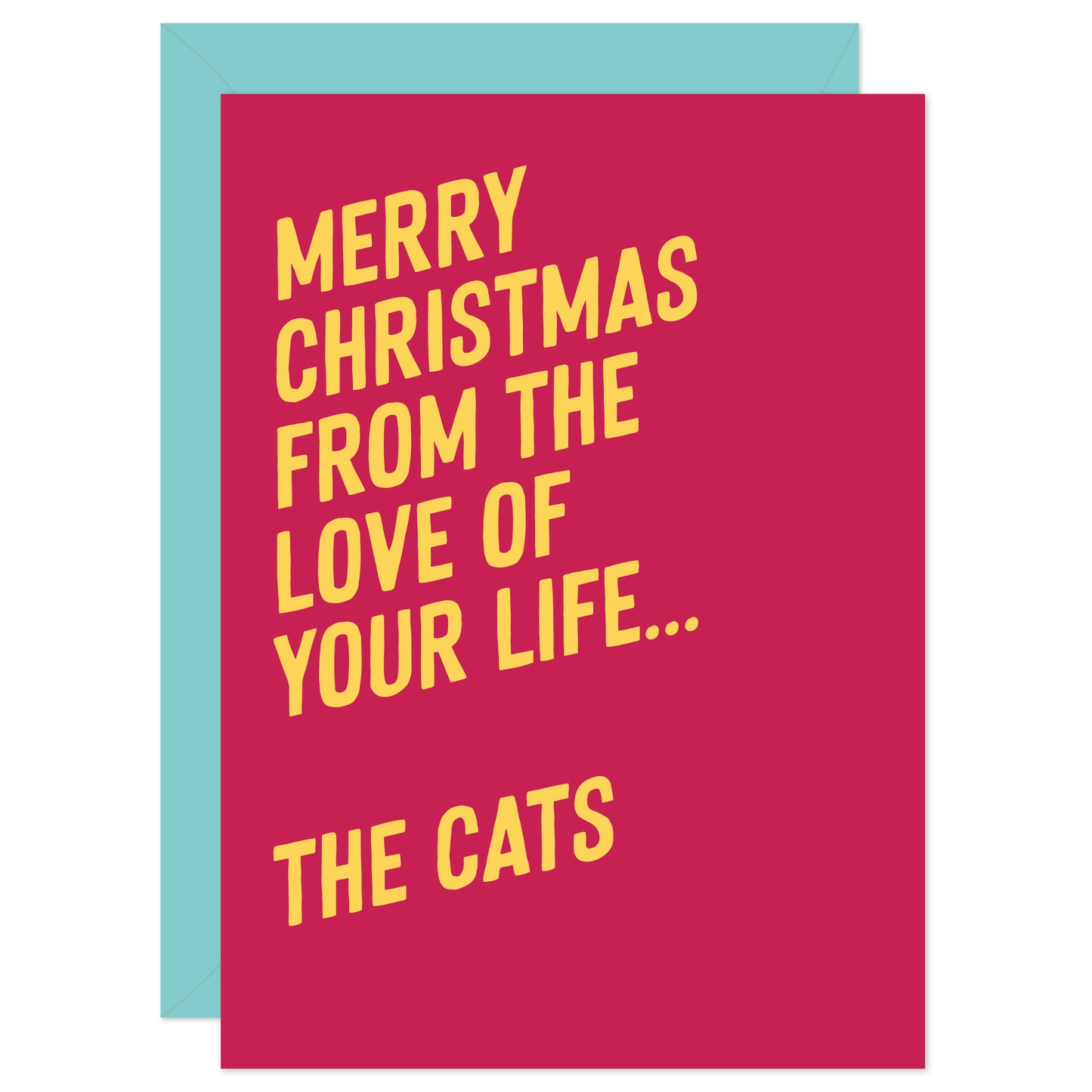 From the cat Christmas card